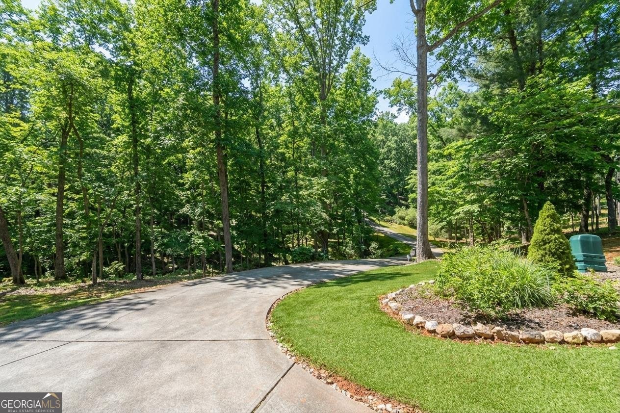 99 Madeline Anthony Road Dahlonega - Photo 55