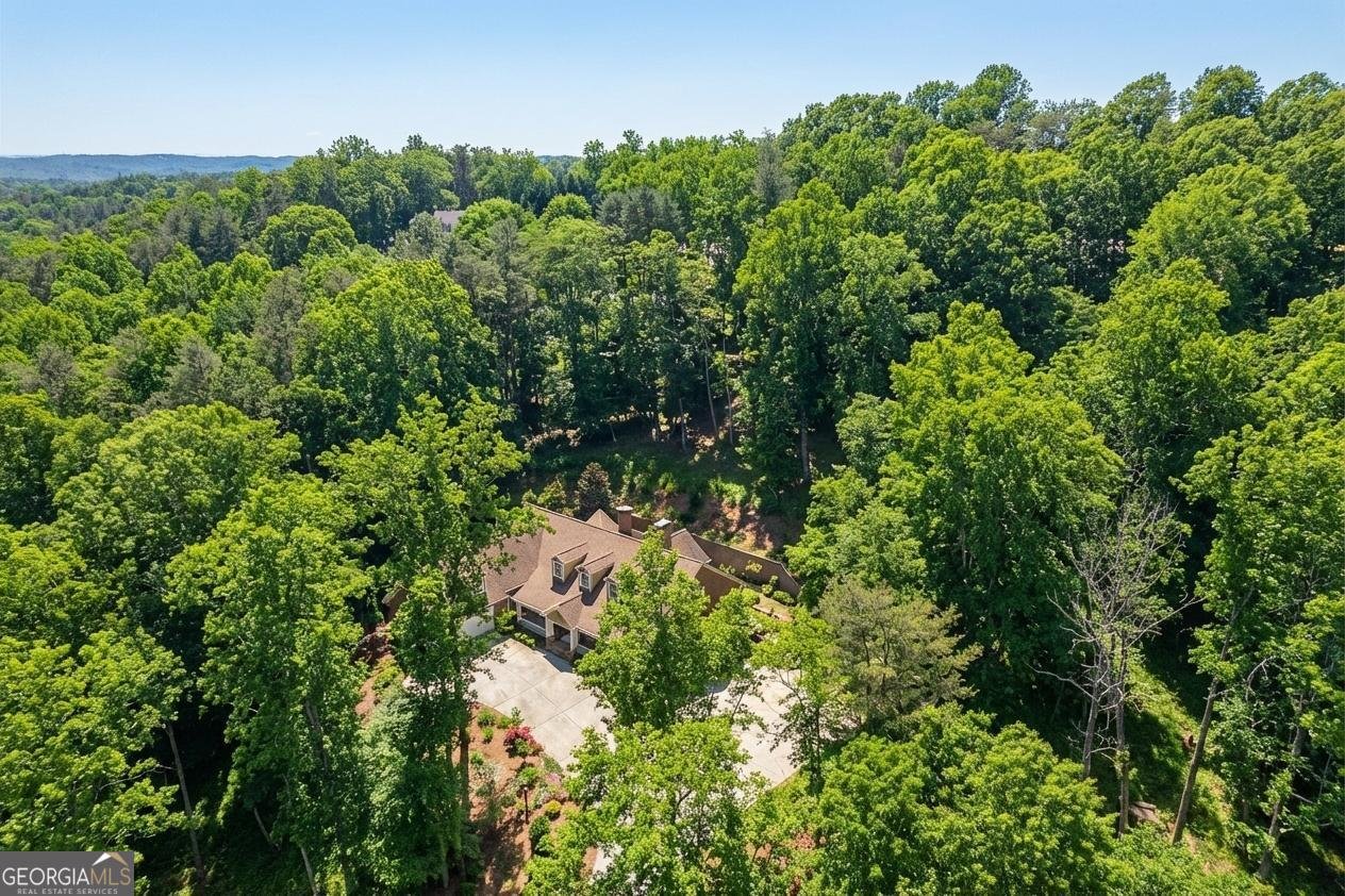 99 Madeline Anthony Road Dahlonega - Photo 60