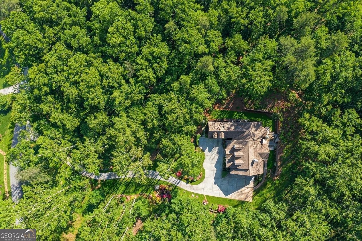 99 Madeline Anthony Road Dahlonega - Photo 61
