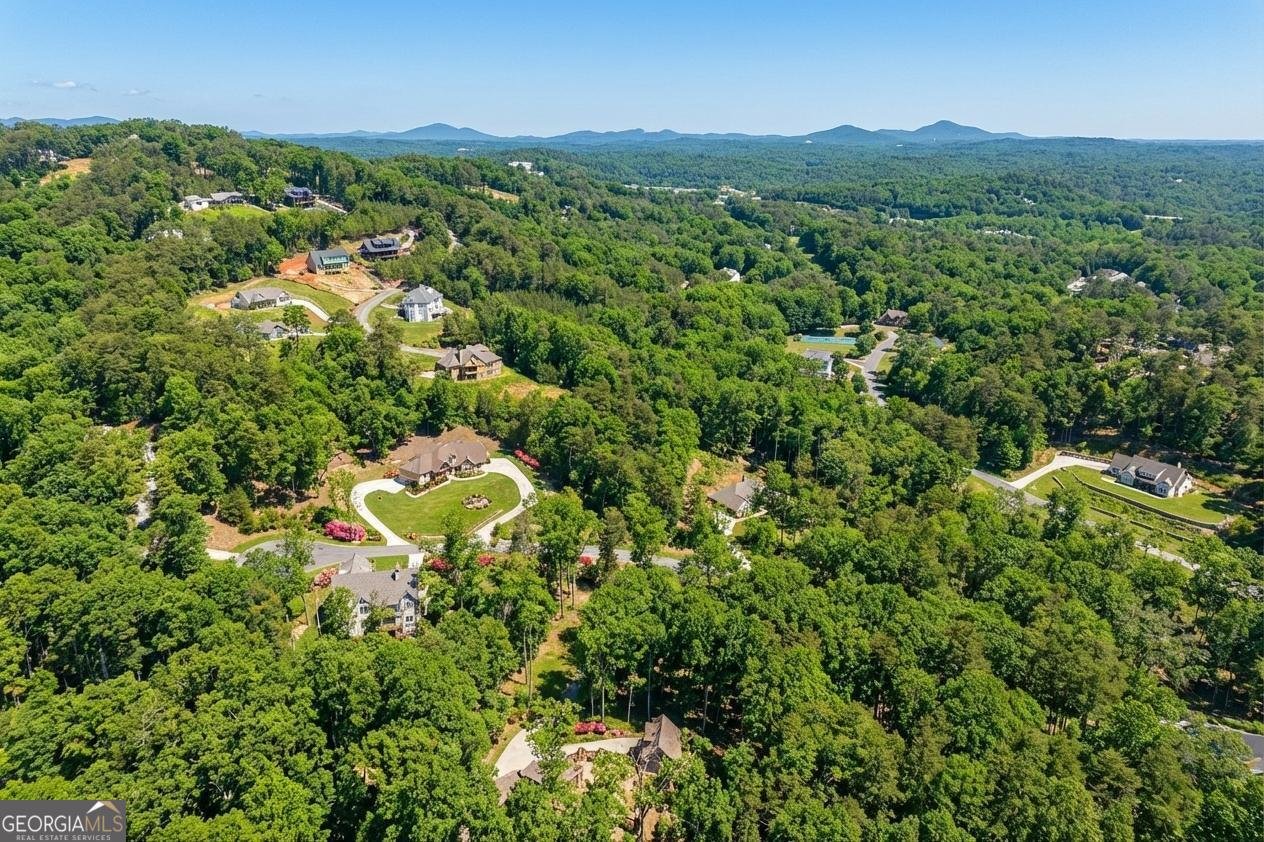 99 Madeline Anthony Road Dahlonega - Photo 62