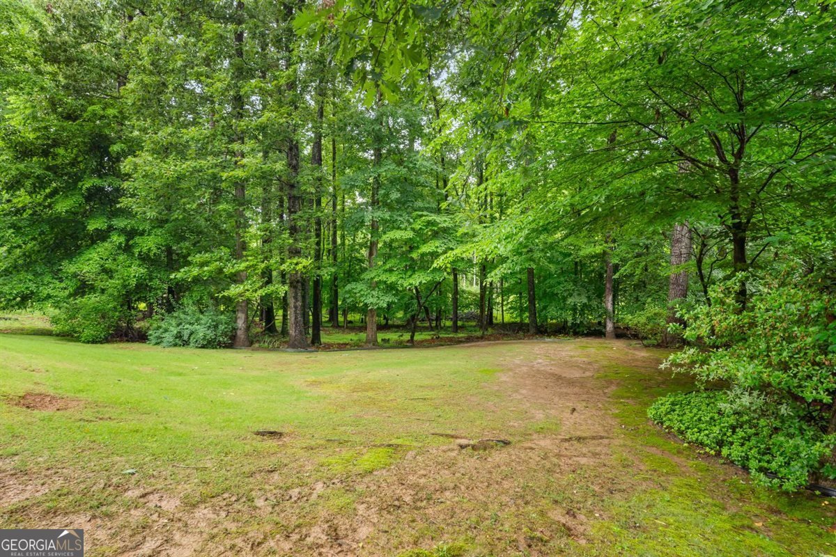 2121 Little River Drive Suwanee - Photo 23