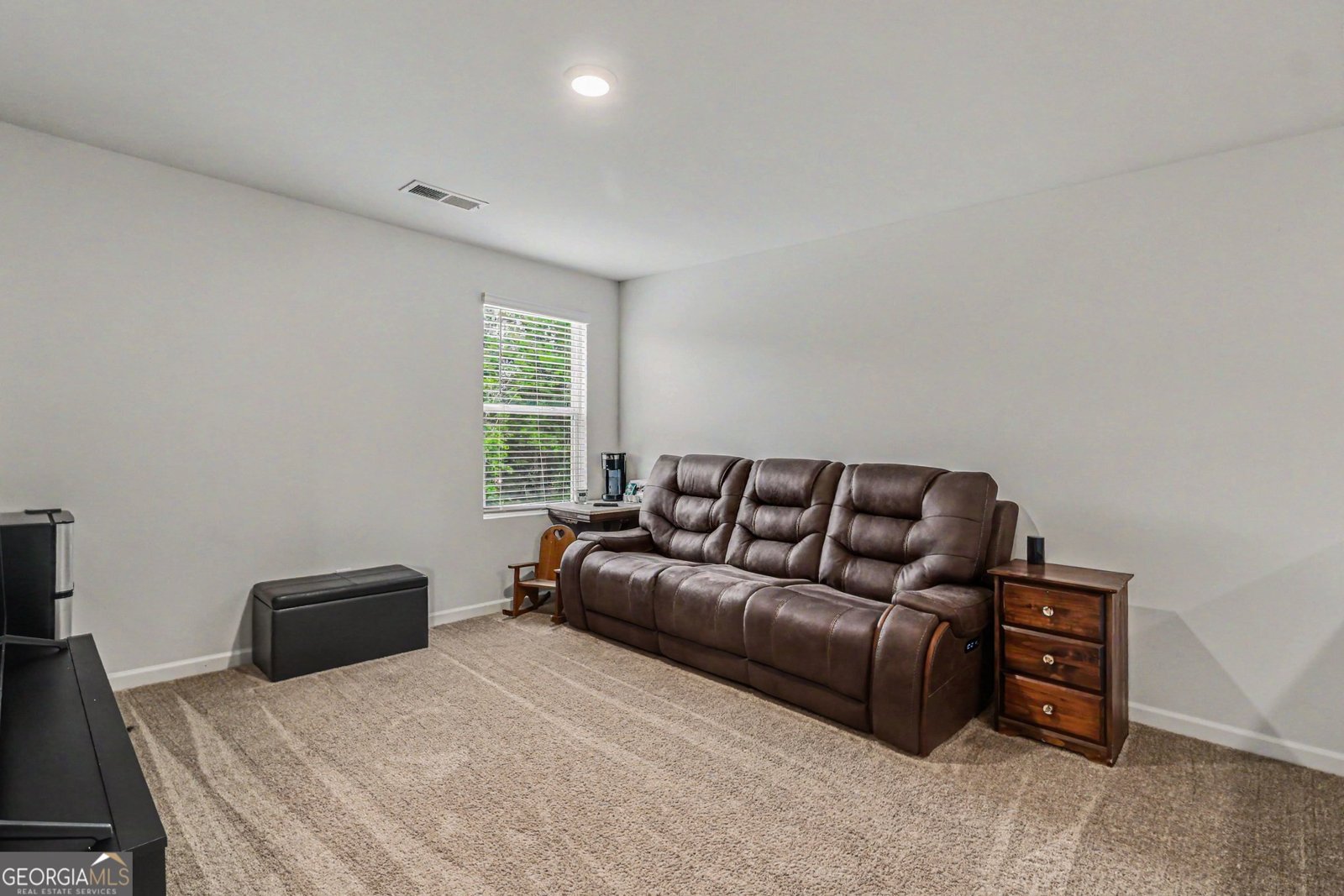344 Lusitano Trace Hogansville - Photo 10