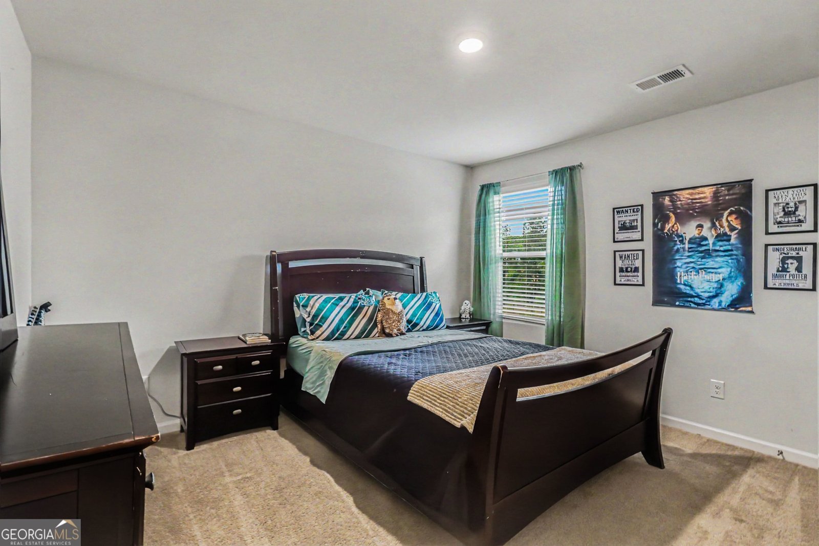 344 Lusitano Trace Hogansville - Photo 19