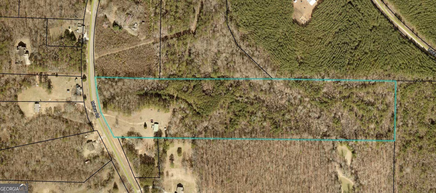 1624 Melear Road Bowdon - Photo 32