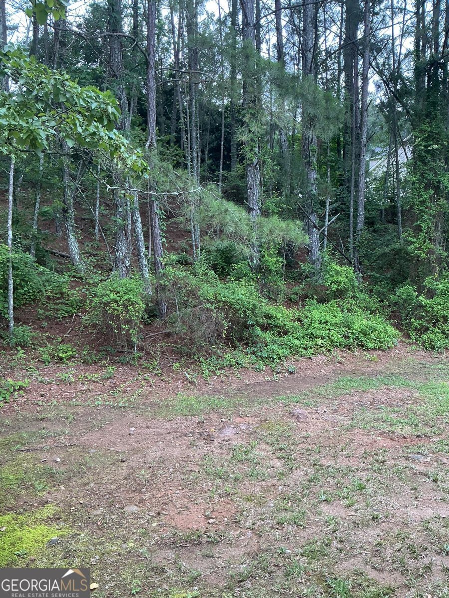 5681 Winchester Place Lithonia - Photo 37