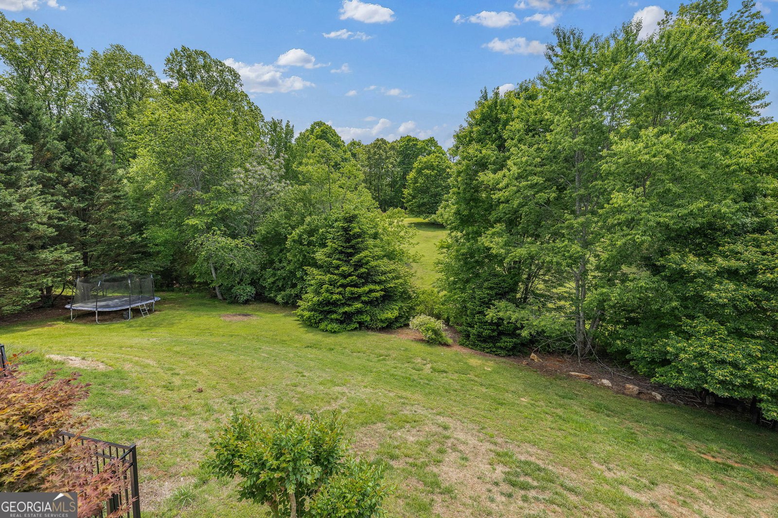 204 Windrose Meadow Lane Clarkesville - Photo 66