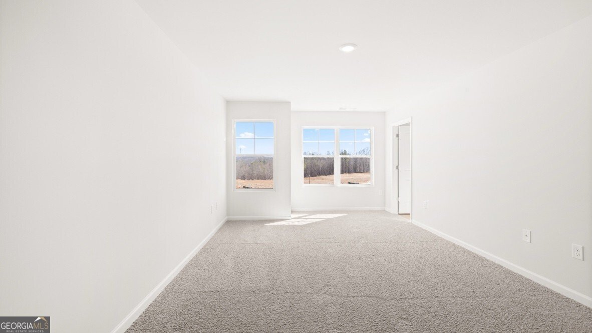 60 Berryville Drive Dawsonville - Photo 15