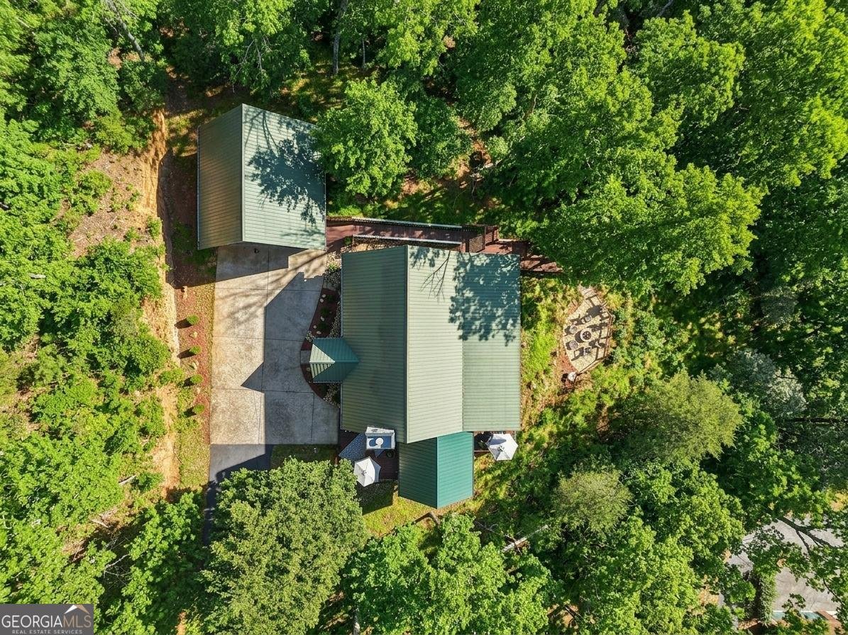 232 Ranch Mountain Drive Dahlonega - Photo 55