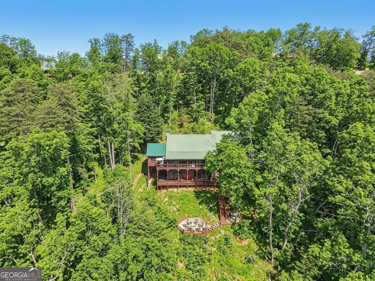 232 Ranch Mountain Drive Dahlonega - Photo 57