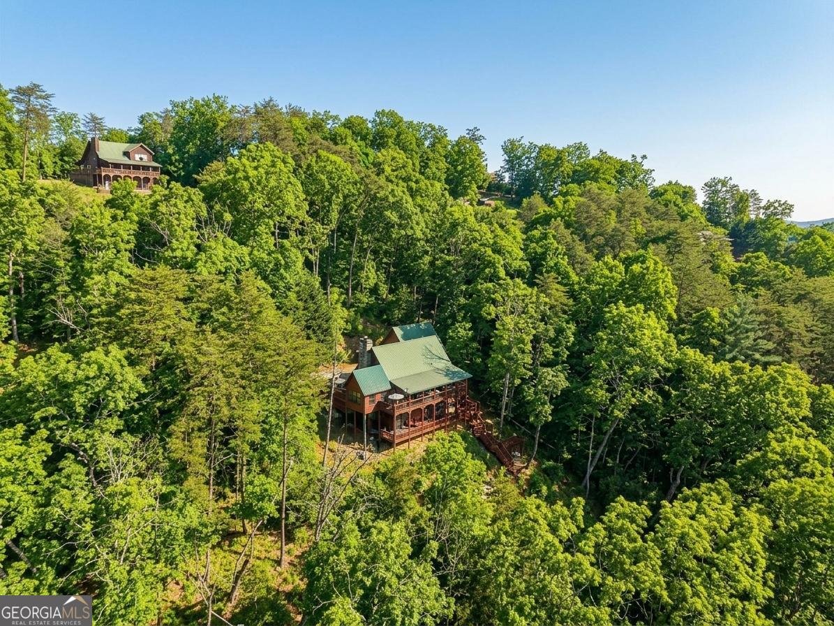 232 Ranch Mountain Drive Dahlonega - Photo 58