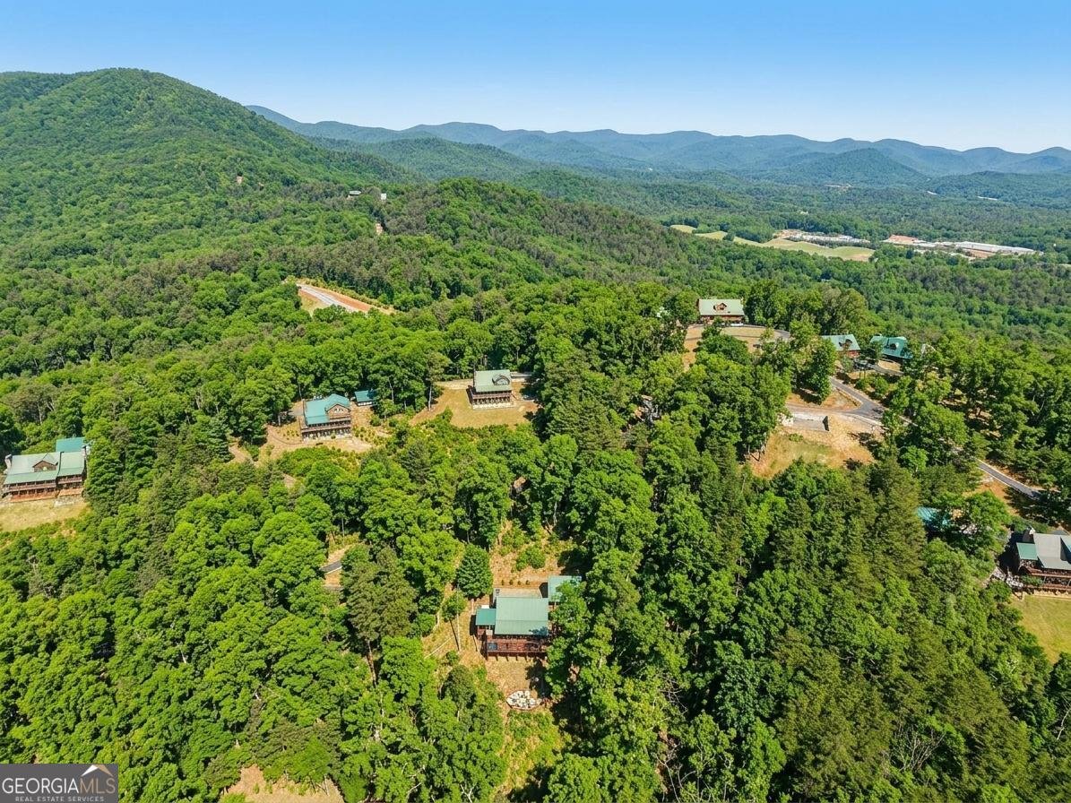 232 Ranch Mountain Drive Dahlonega - Photo 60