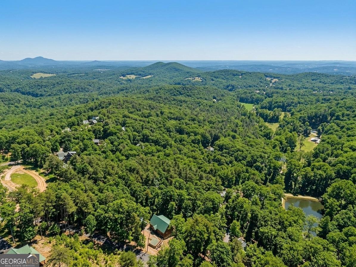 232 Ranch Mountain Drive Dahlonega - Photo 61