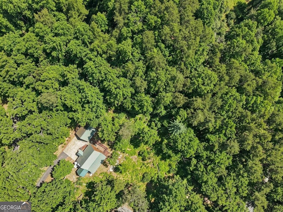 232 Ranch Mountain Drive Dahlonega - Photo 62