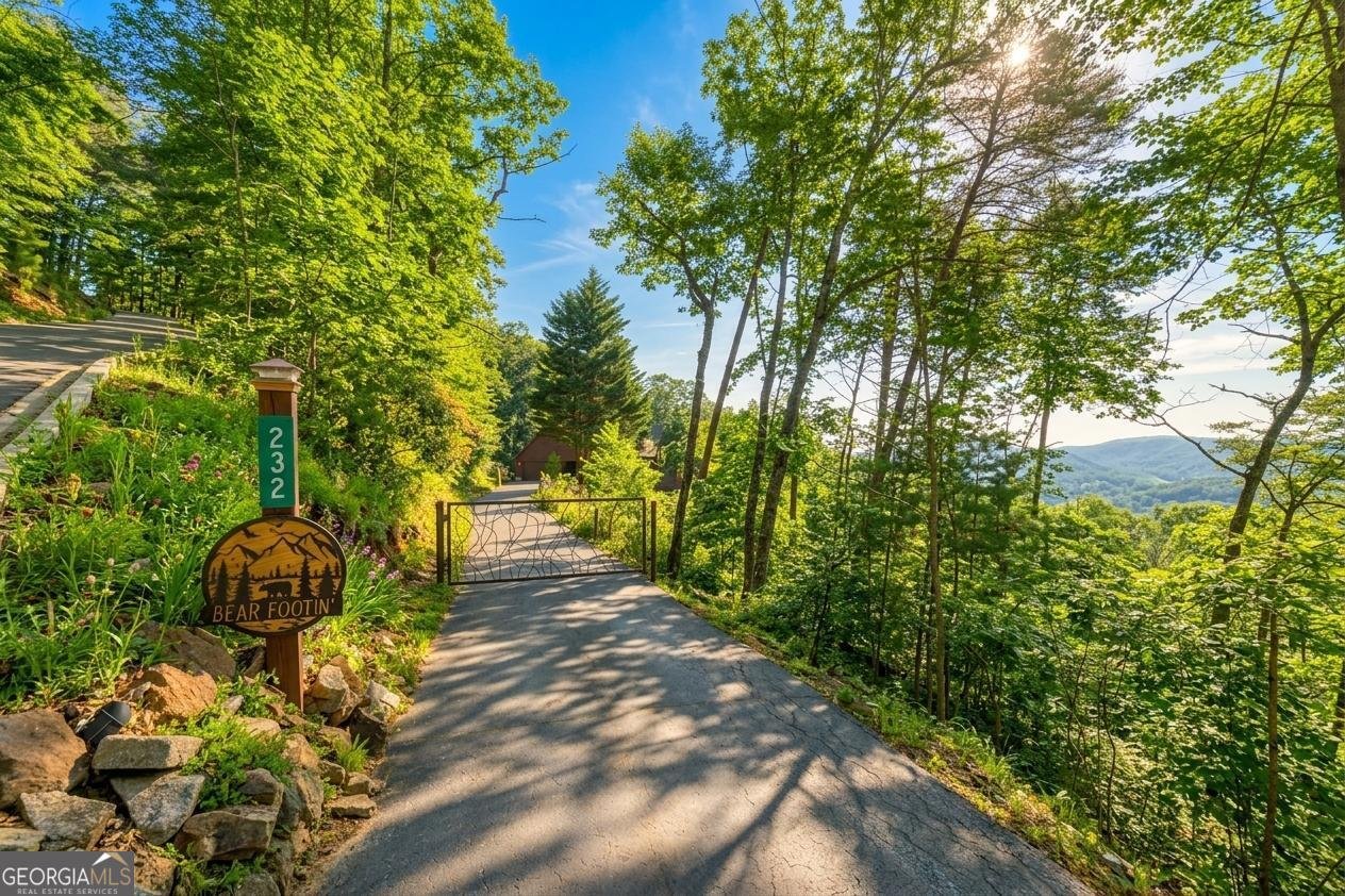 232 Ranch Mountain Drive Dahlonega - Photo 7
