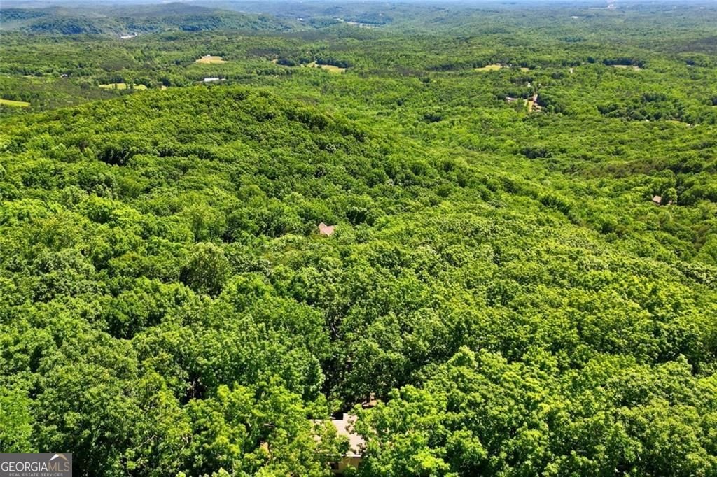 251 Panorama Point Jasper - Photo 64
