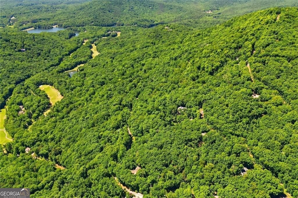 251 Panorama Point Jasper - Photo 66