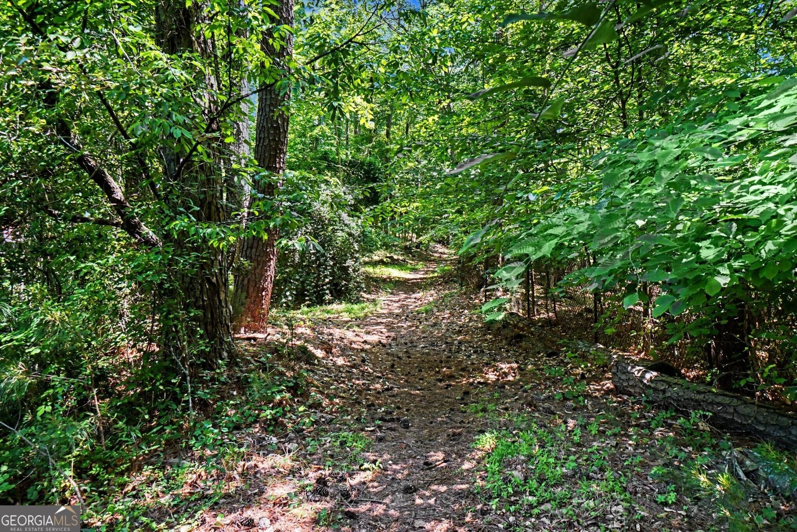 801 Gettysburg Place Atlanta - Photo 41