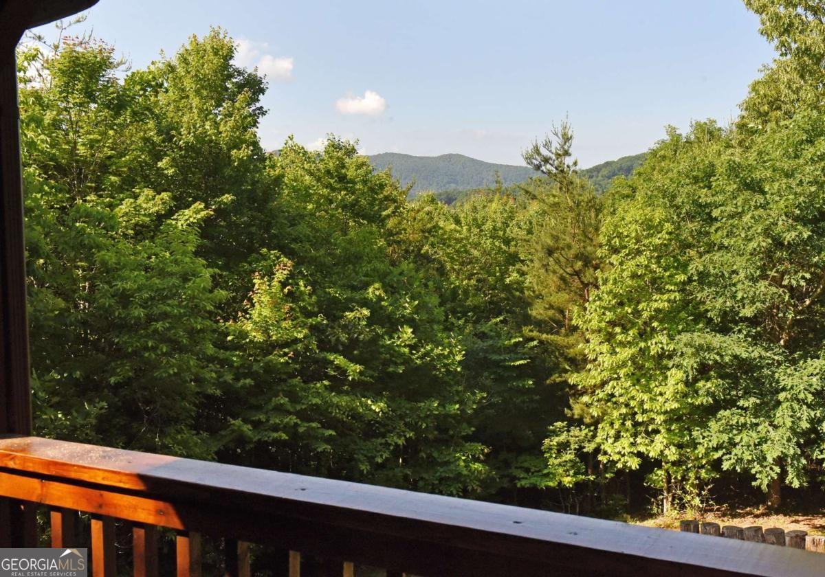 93 Deer Hunter Trail Blue Ridge - Photo 20