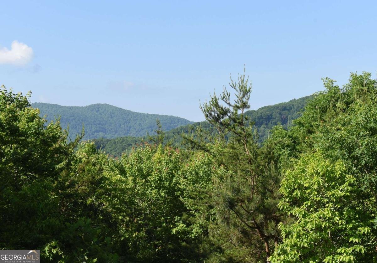 93 Deer Hunter Trail Blue Ridge - Photo 21
