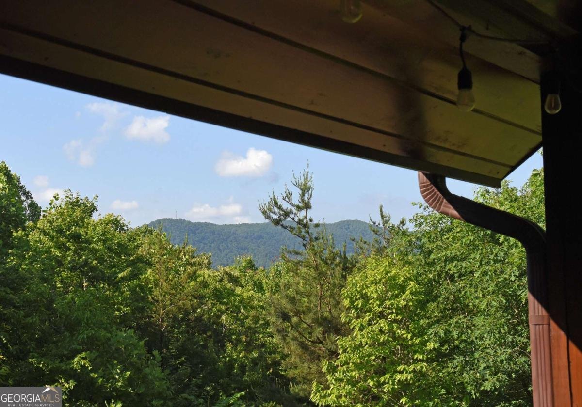 93 Deer Hunter Trail Blue Ridge - Photo 24
