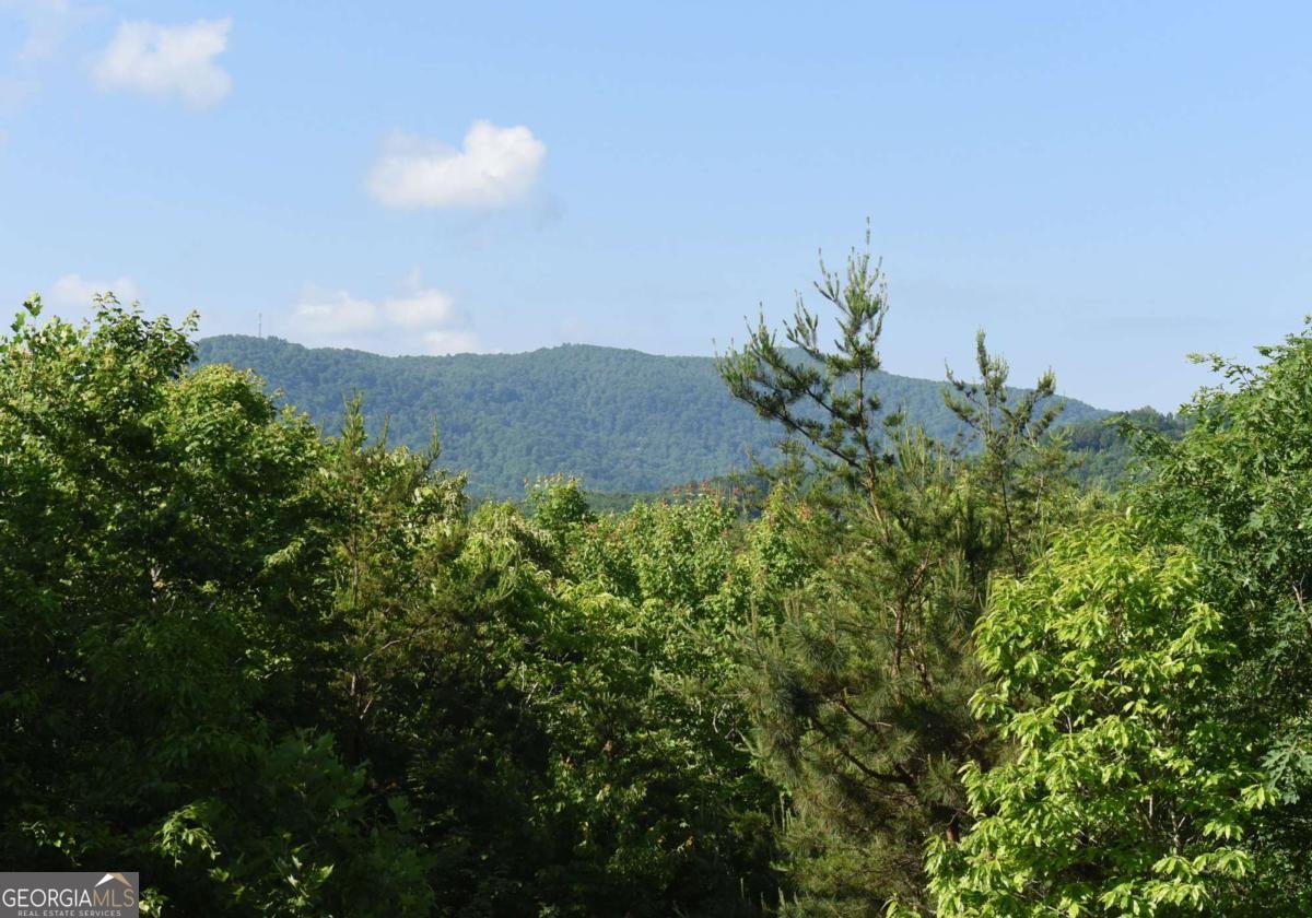 93 Deer Hunter Trail Blue Ridge - Photo 25