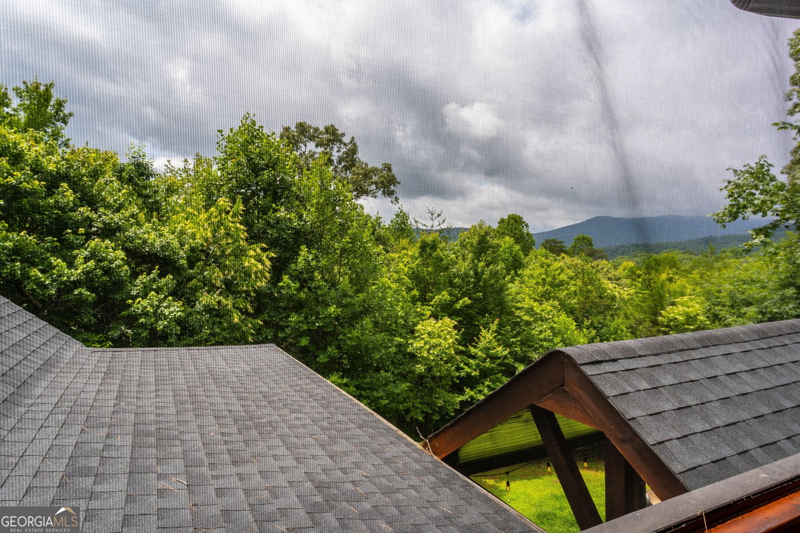 93 Deer Hunter Trail Blue Ridge - Photo 69