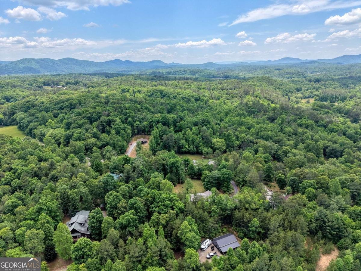 290 Butterball Boulevard Murphy - Photo 45