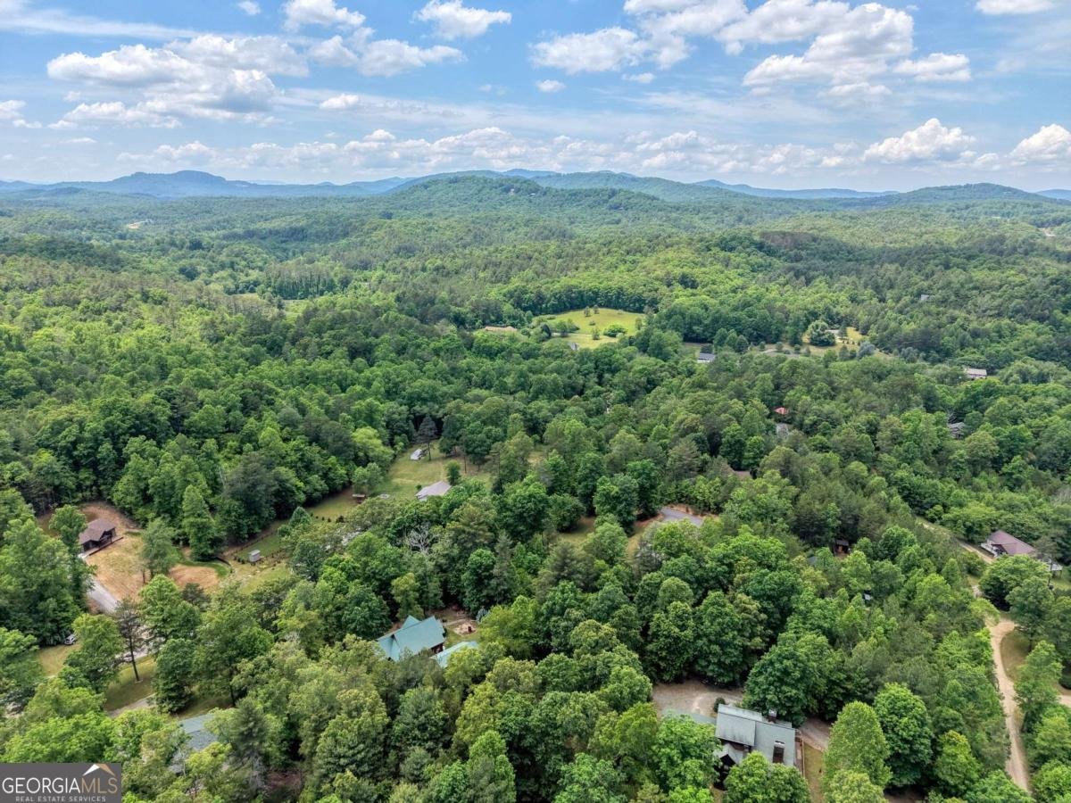 290 Butterball Boulevard Murphy - Photo 46