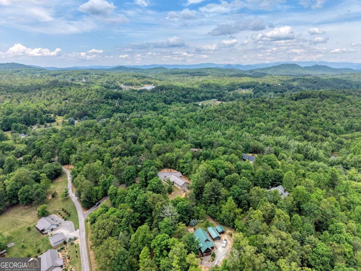290 Butterball Boulevard Murphy - Photo 47