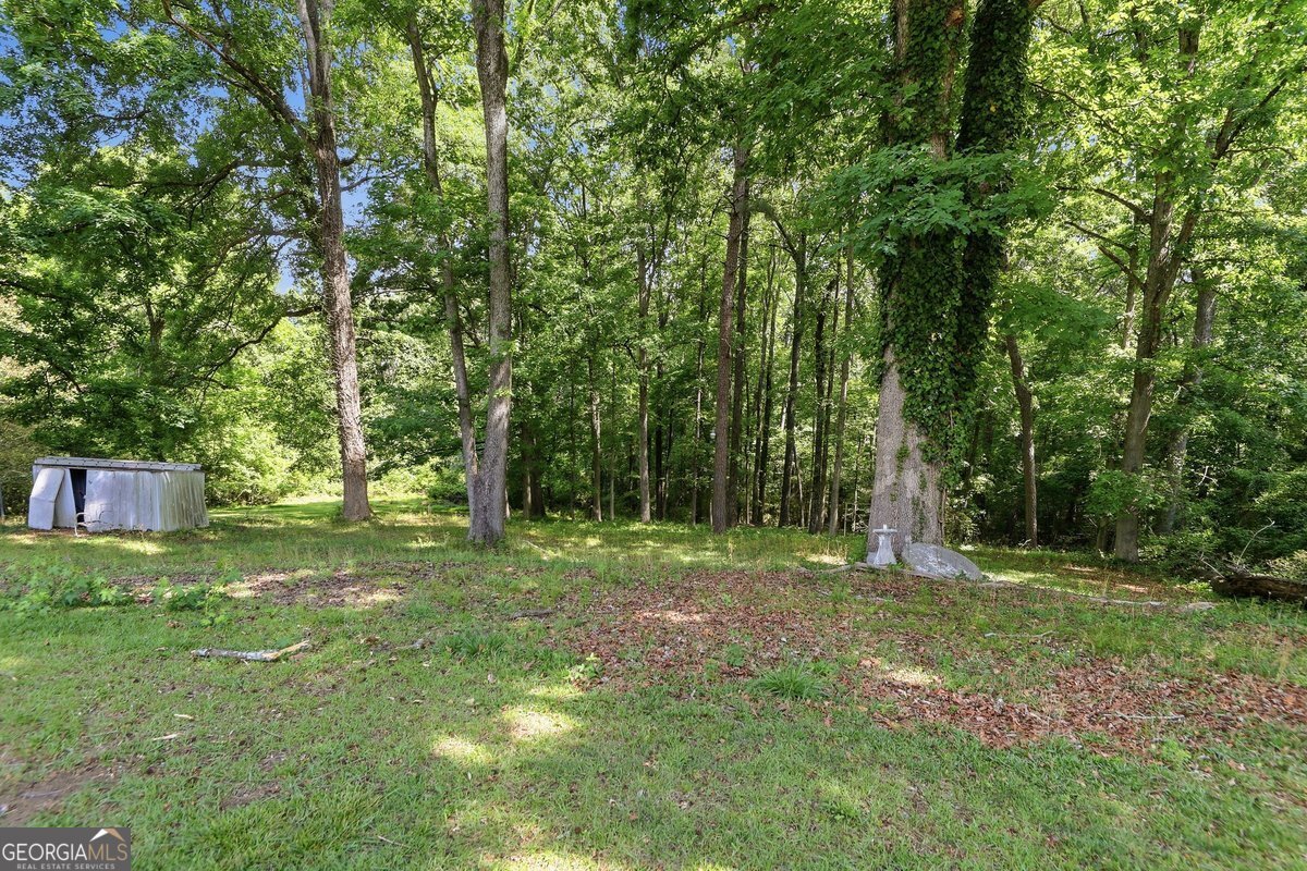 2068 River Road Ellenwood - Photo 29