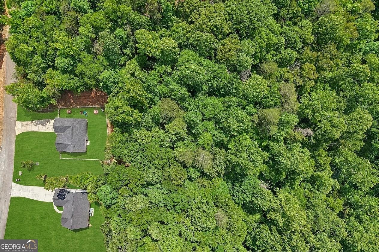 118 Rocky Branch Drive Murrayville - Photo 32