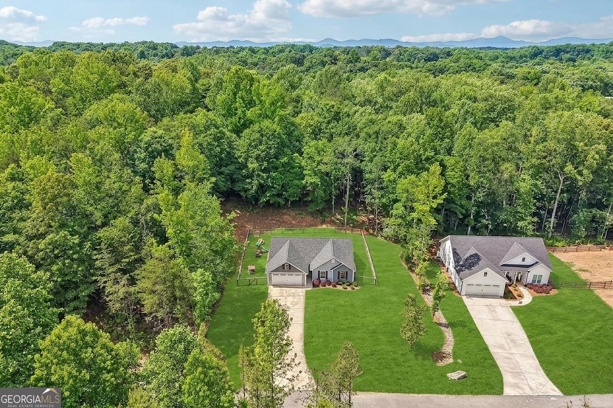 118 Rocky Branch Drive Murrayville - Photo 33