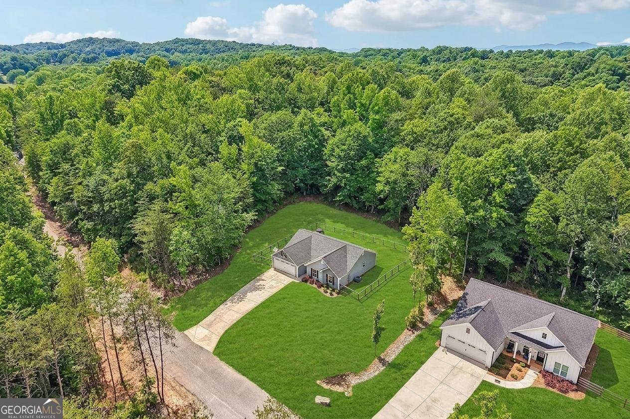 118 Rocky Branch Drive Murrayville - Photo 34