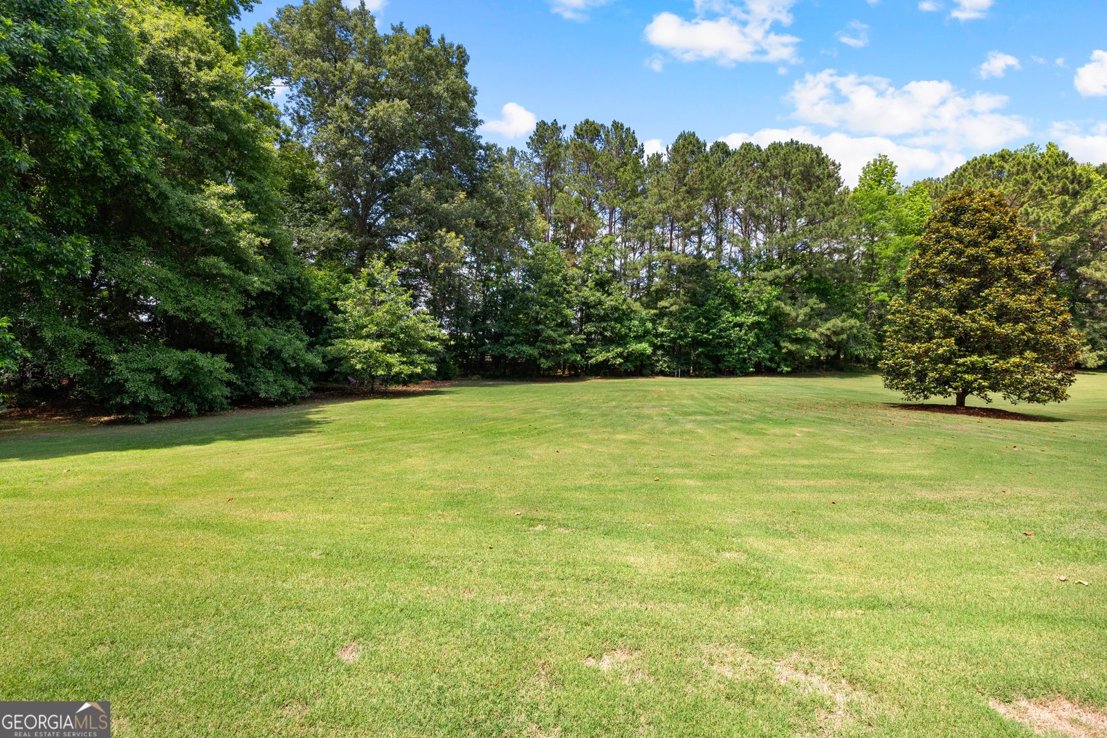 635 Birkdale Drive Fayetteville - Photo 69