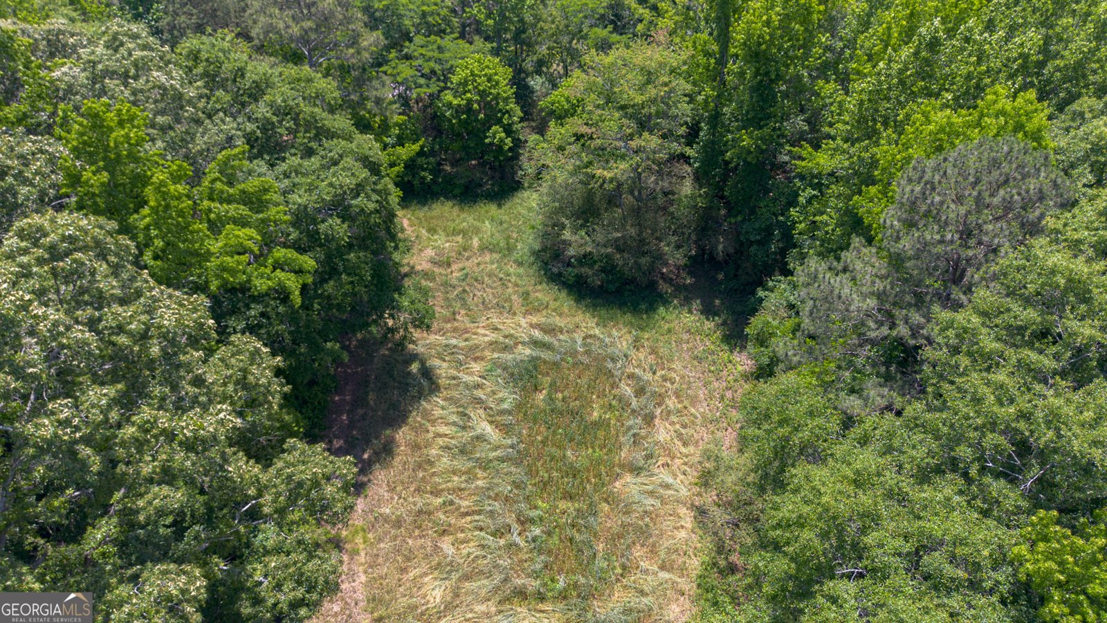 16506 County Road 82 Newell - Photo 19