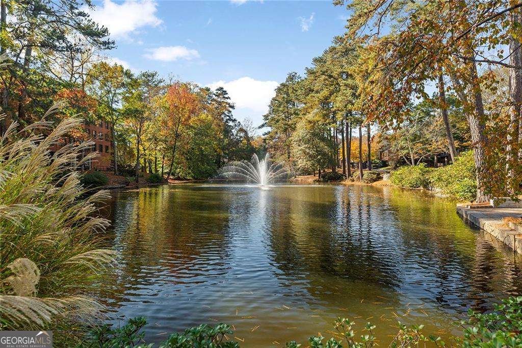 28317 Plantation Drive Atlanta - Photo 48