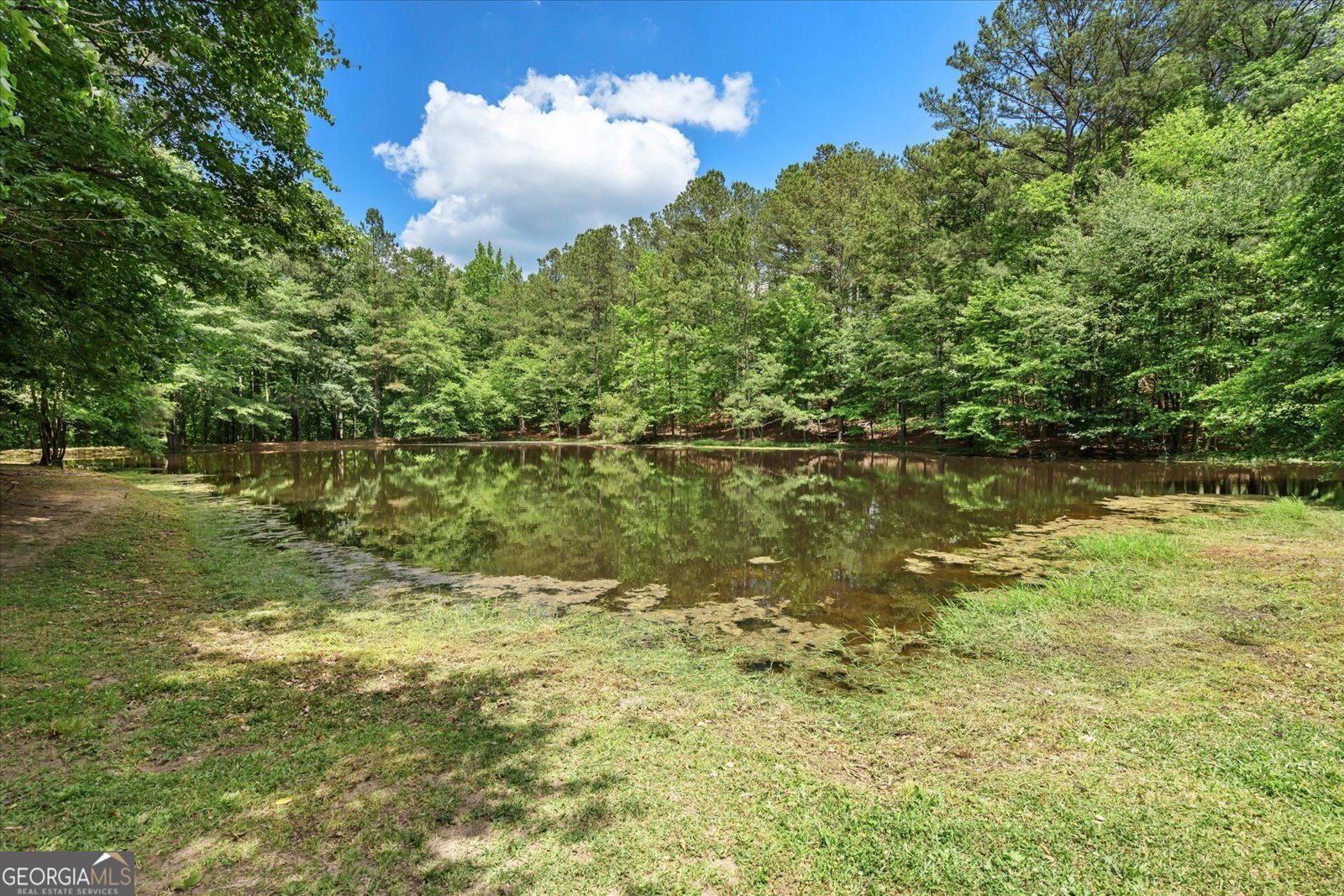 950 Moss Ferry Road Villa Rica - Photo 60