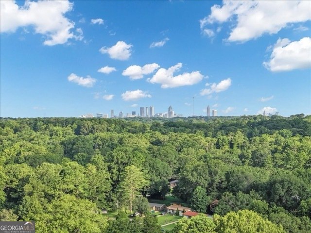 3042 Cottonwood Drive Atlanta - Photo 20