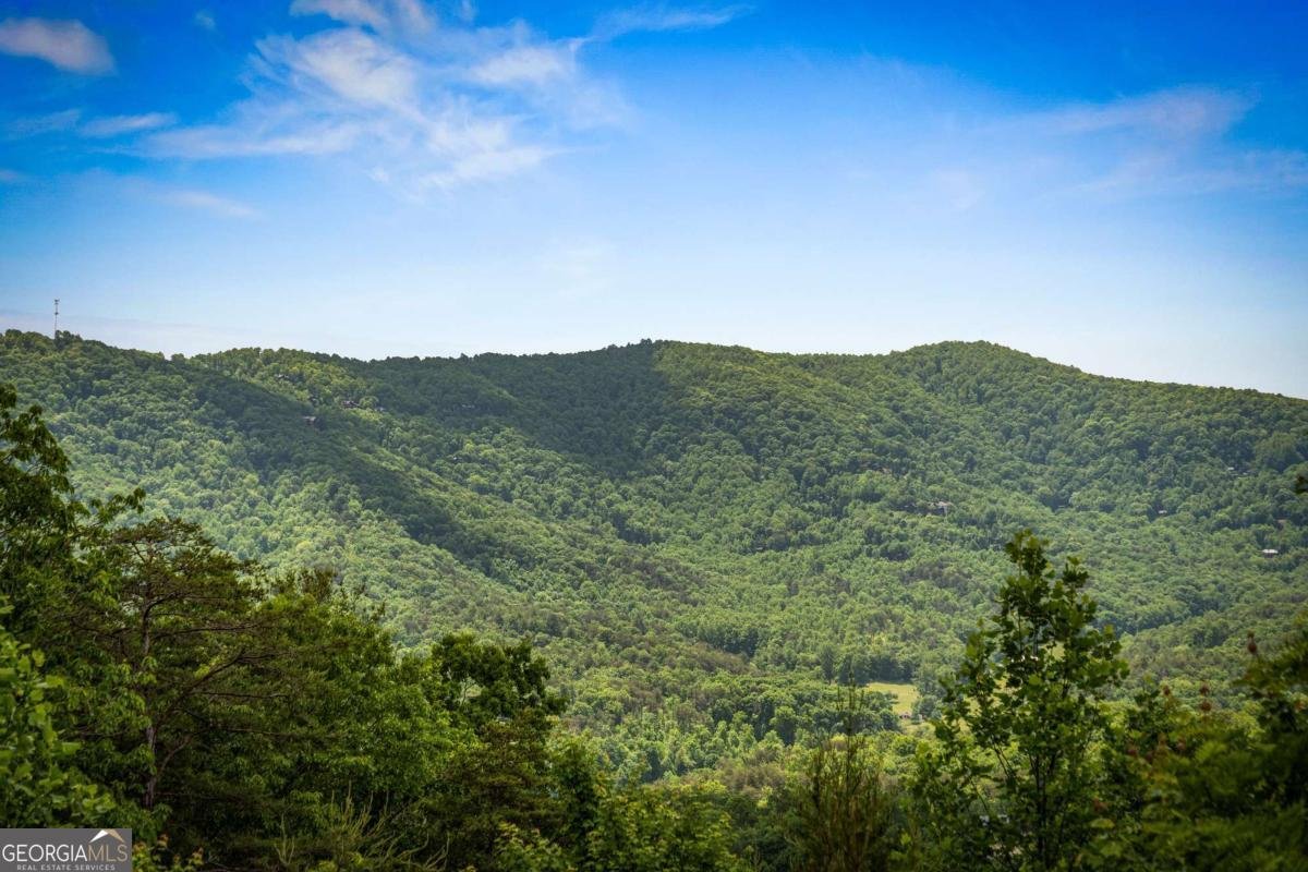 58 Overlook Way Blue Ridge - Photo 62