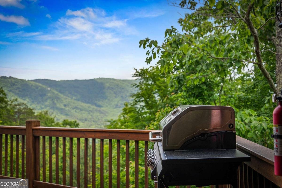 58 Overlook Way Blue Ridge - Photo 63