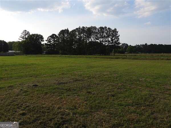 5915 Rye Patch Road Ludowici - Photo 12