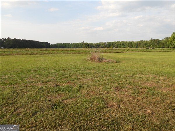 5915 Rye Patch Road Ludowici - Photo 13