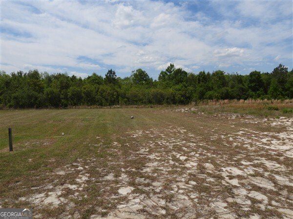 5915 Rye Patch Road Ludowici - Photo 20