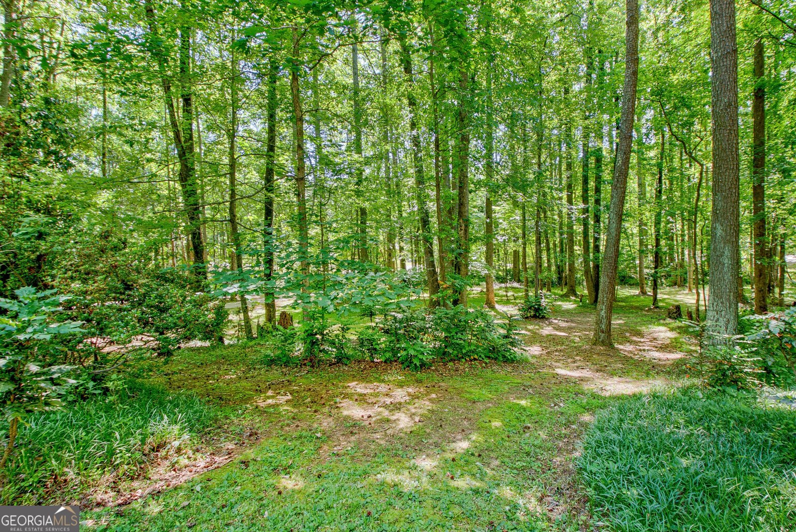 175 Ashley Creek Drive Newnan - Photo 9