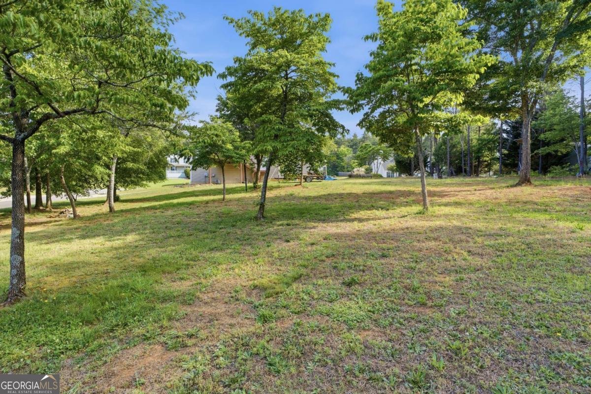 11 Farmstead Court Adairsville - Photo 42