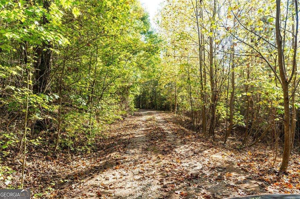 200 Jackson Road Rockmart - Photo 55