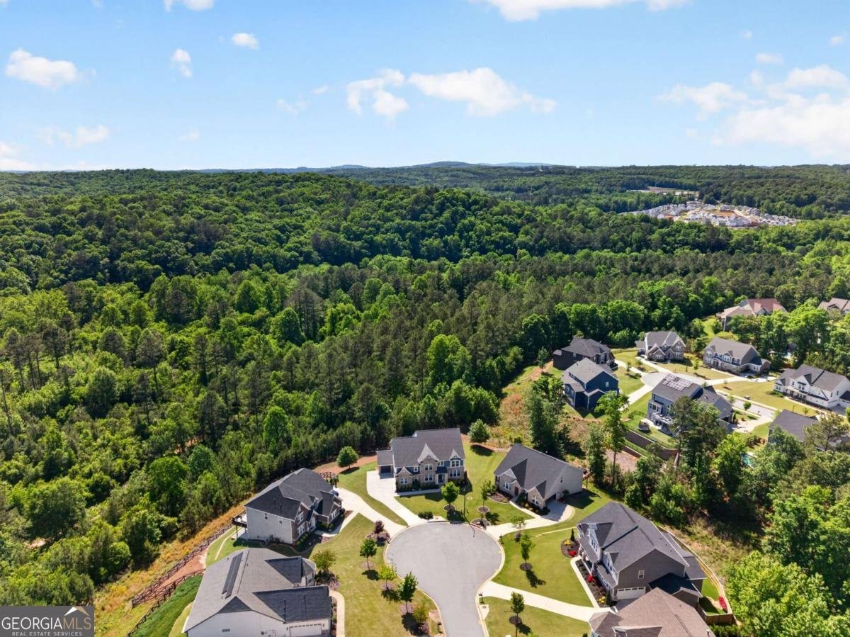 515 Perdue Trail Canton - Photo 62