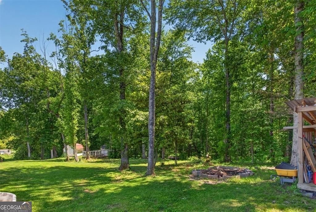 14402 Fincher Road Canton - Photo 44