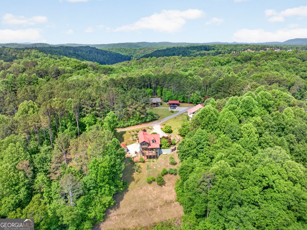 95 Scenic Way Ellijay - Photo 49