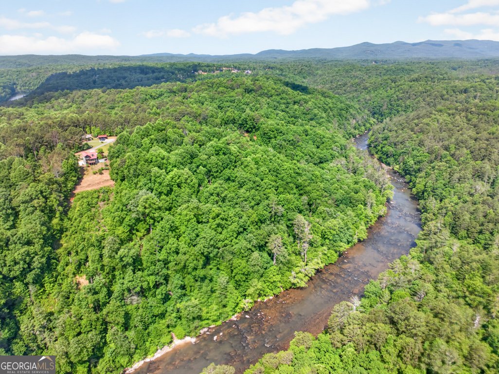 95 Scenic Way Ellijay - Photo 50